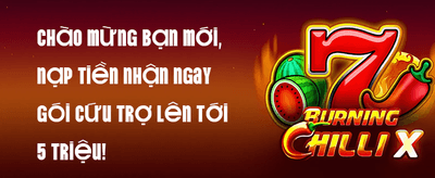 Thưởng Chào Mừng 100% promotion